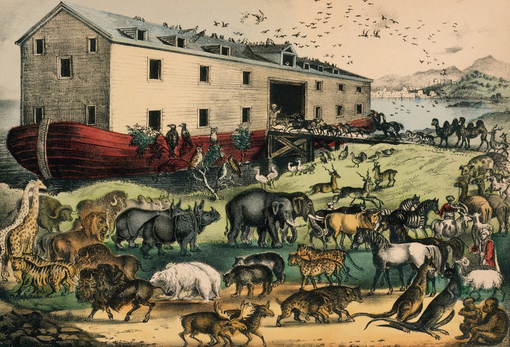 ノアの方舟、1874-78年（手描きのリトグラフ）