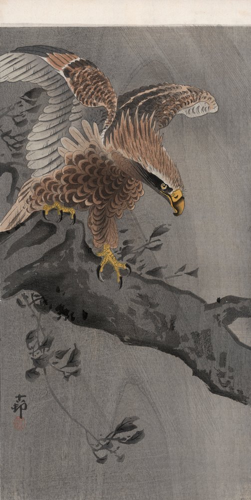 木の幹に翼を広げた鷲（カラー木版画