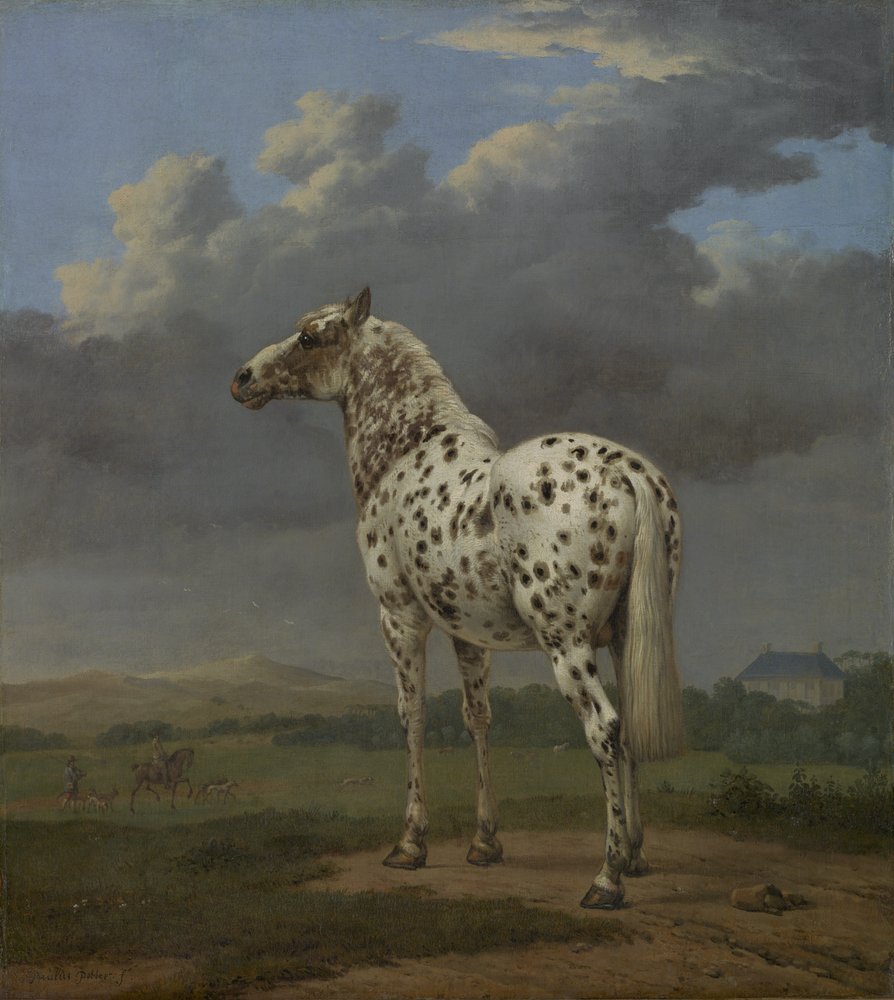 まだら」の馬、c.1650-4（キャンバスに油彩）