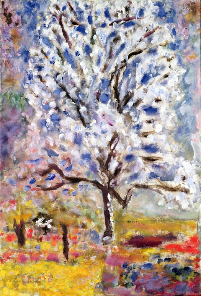 陽光さすアーモンドの木 水彩画 ホワイト額入り 陽光さすアーモンドの