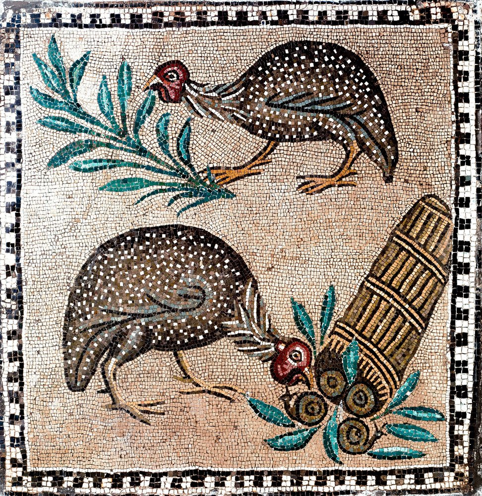 ローマ美術：モルモット鳥を表すモザイク。紀元前1～2世紀。ローマ