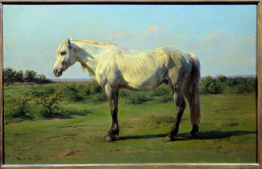 プレの白馬。ローザ・ボヌール（1822-1899）の絵画