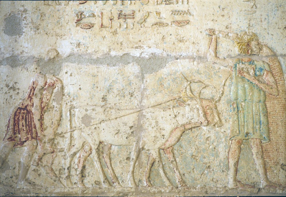 古代エジプト、壁の彫刻／絵画、ペトシリスの墓、トゥナ・エル・ゲベル