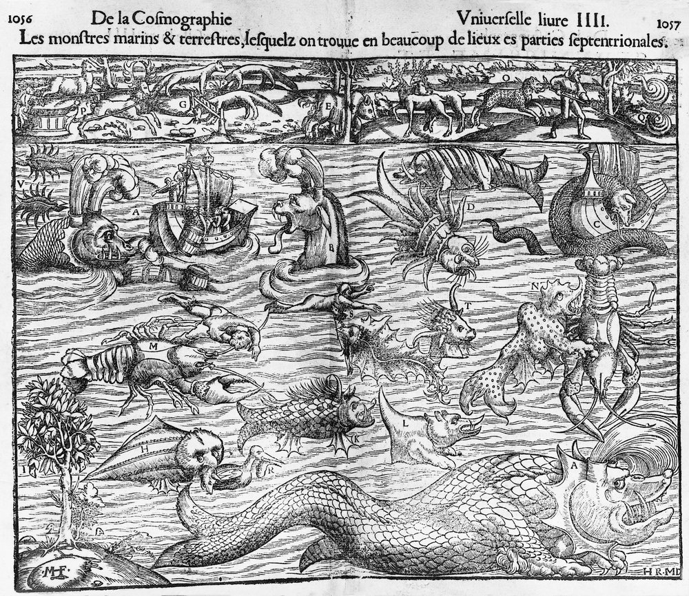 海と陸の怪物たち、セバスティアン・ミュンスター（1489-1552年