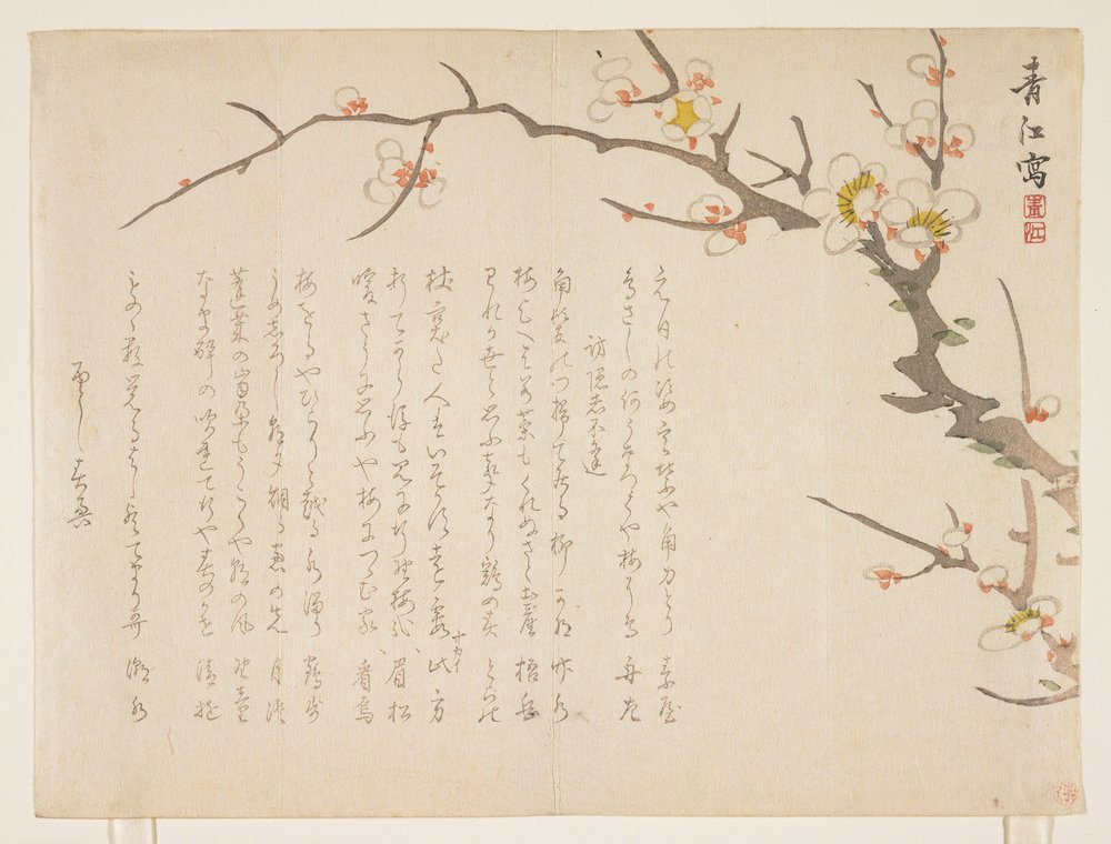 1837年1月、開花梅（色木版画）