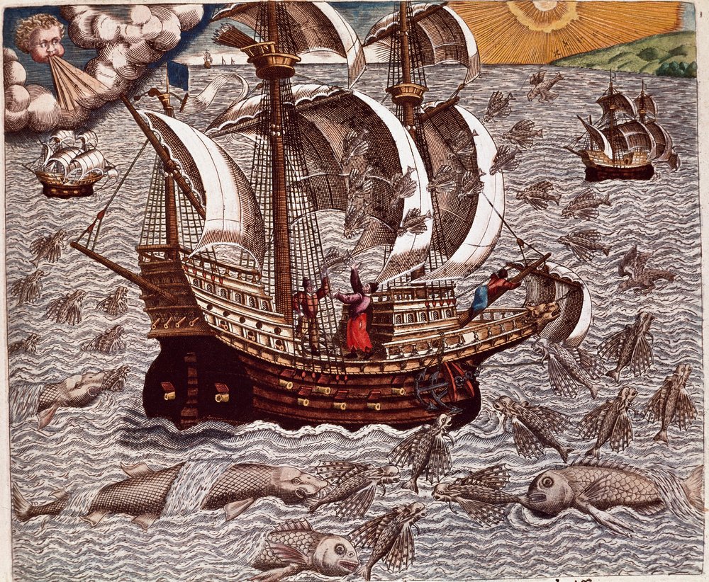 ケリー.ハーレム(オリジナル)サンフランシスコ.ベイ　海図 フランシス・ドレーク（1540-96年頃）の地球周回航海図を描いた