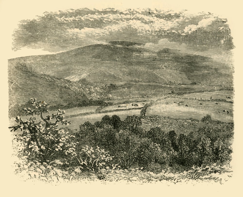 1898