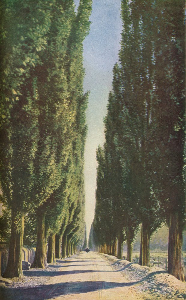 フランス、c1930s | 不明 | アートプリント