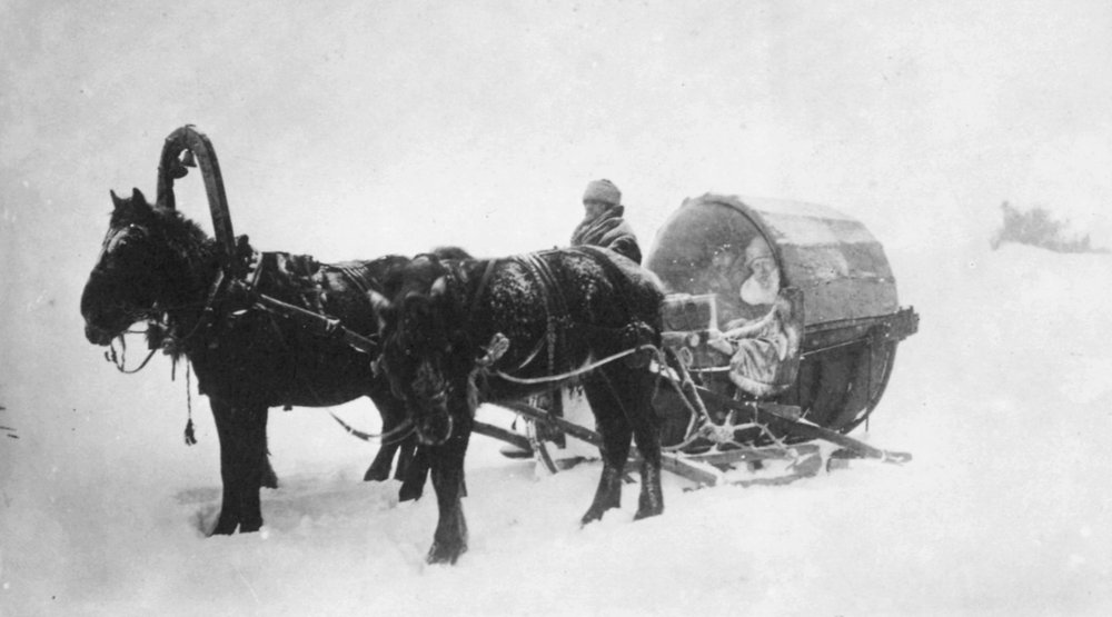 馬が引くそりキビトカ、シベリア、ロシア、1890年代