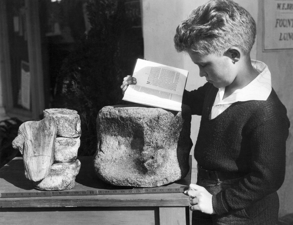 カリフォルニア州パロスバーデス：1927年頃 近くの丘で発見された先史時代の椎骨の化石を使って考古学を学ぶ少年。(白黒写真) 作： 不明