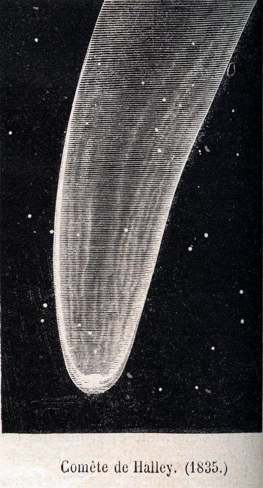 ハレー彗星 1835年 - 1867年頃の刻印