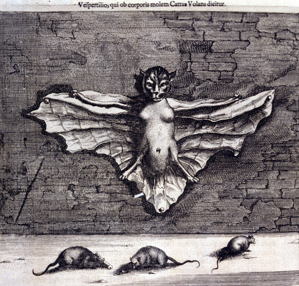Unknown_artist_-