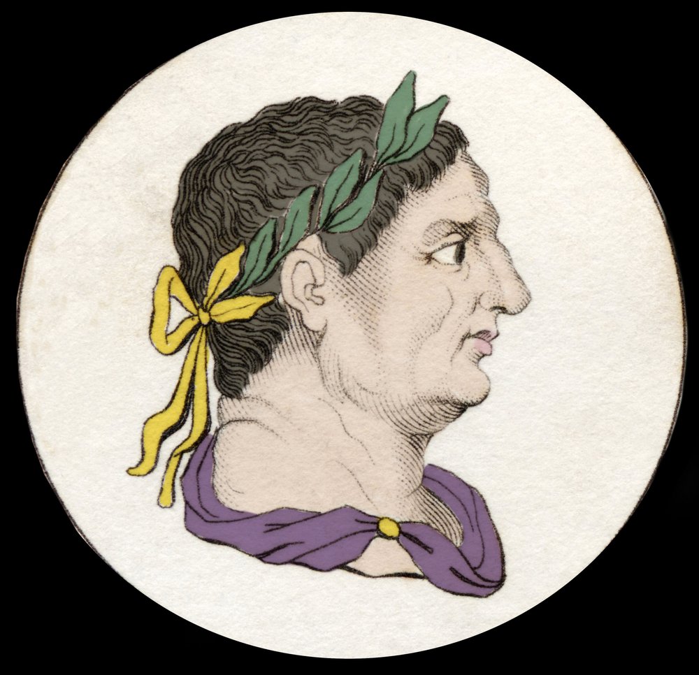 ローマ皇帝ヴィテリウス（1569）の肖像。19世紀のエングレーヴィング。