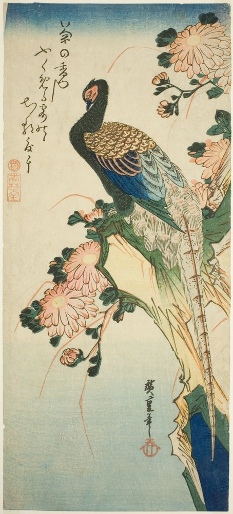 キジと菊 | 歌川広重 | アートプリント