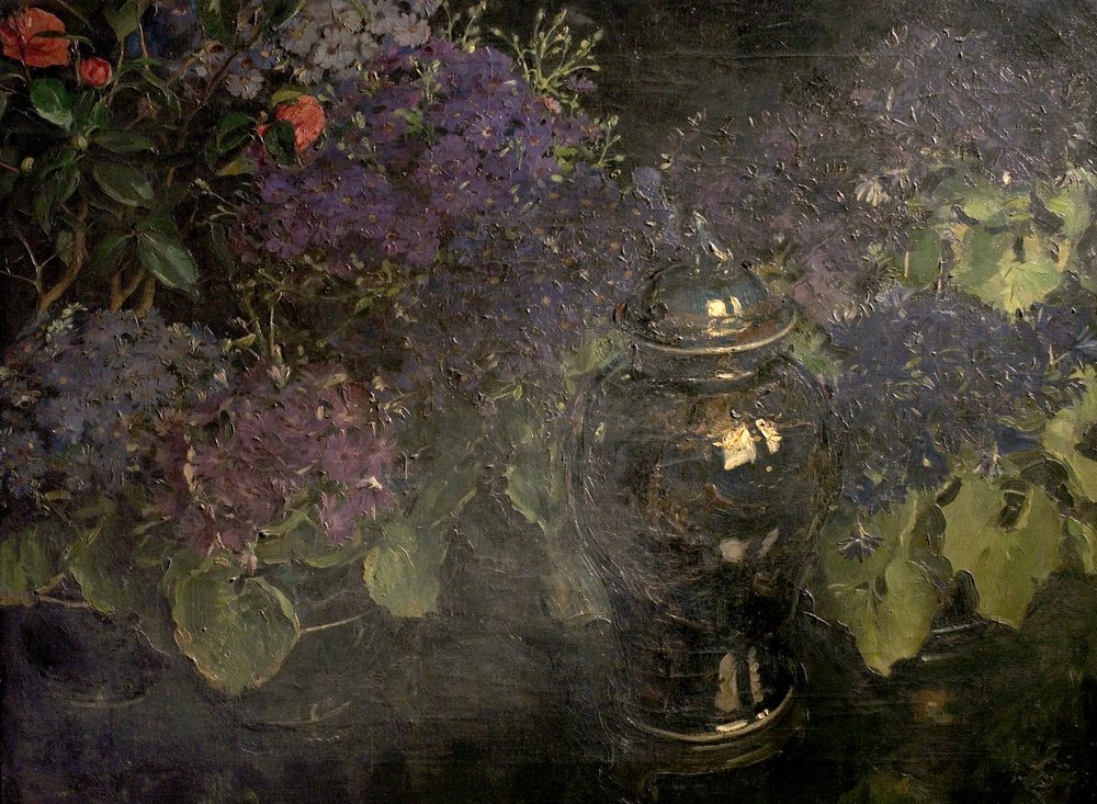 サイネリア 作： ウィリアム・ブルース・エリスの巻きひげ