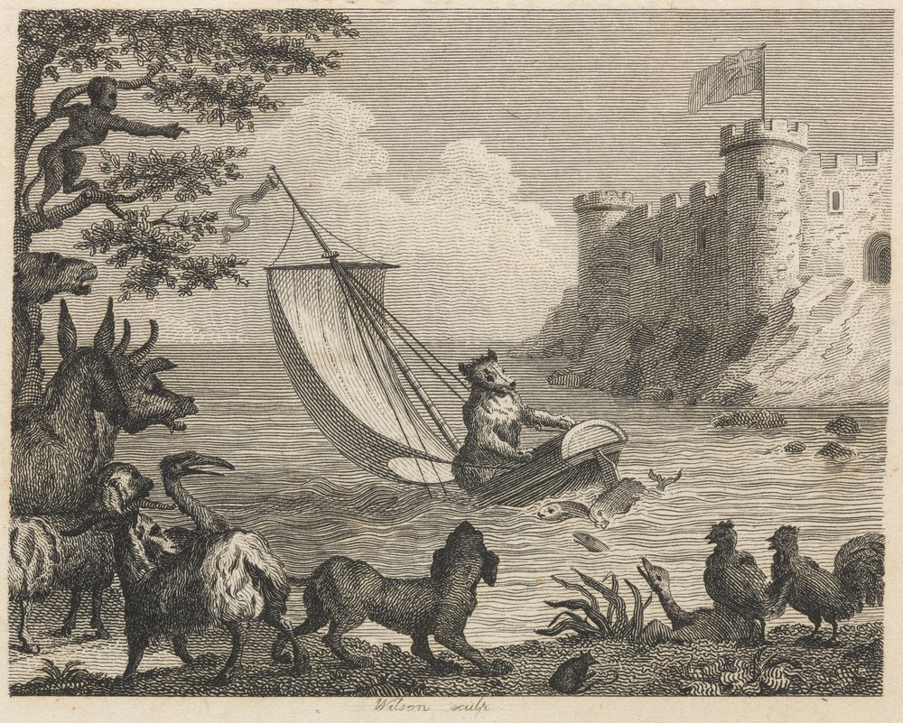 ボートのクマ ウィルソン