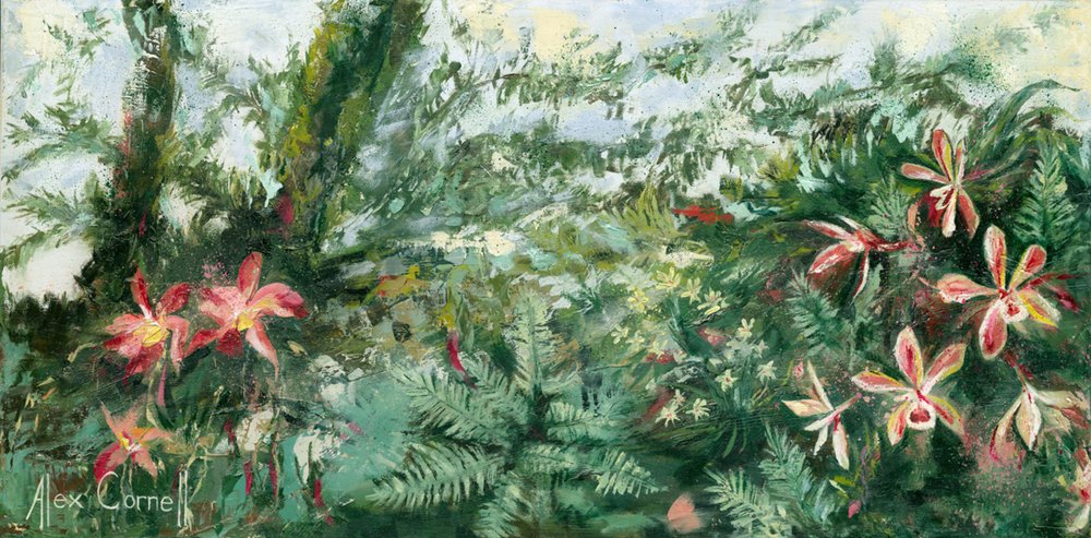 鮮やかな熱帯のラン 作： 