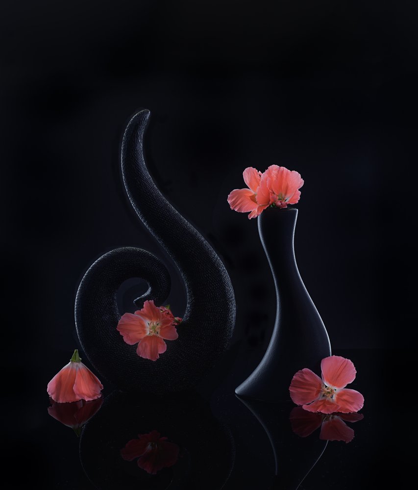 黒地に咲くサンゴ 作： 
