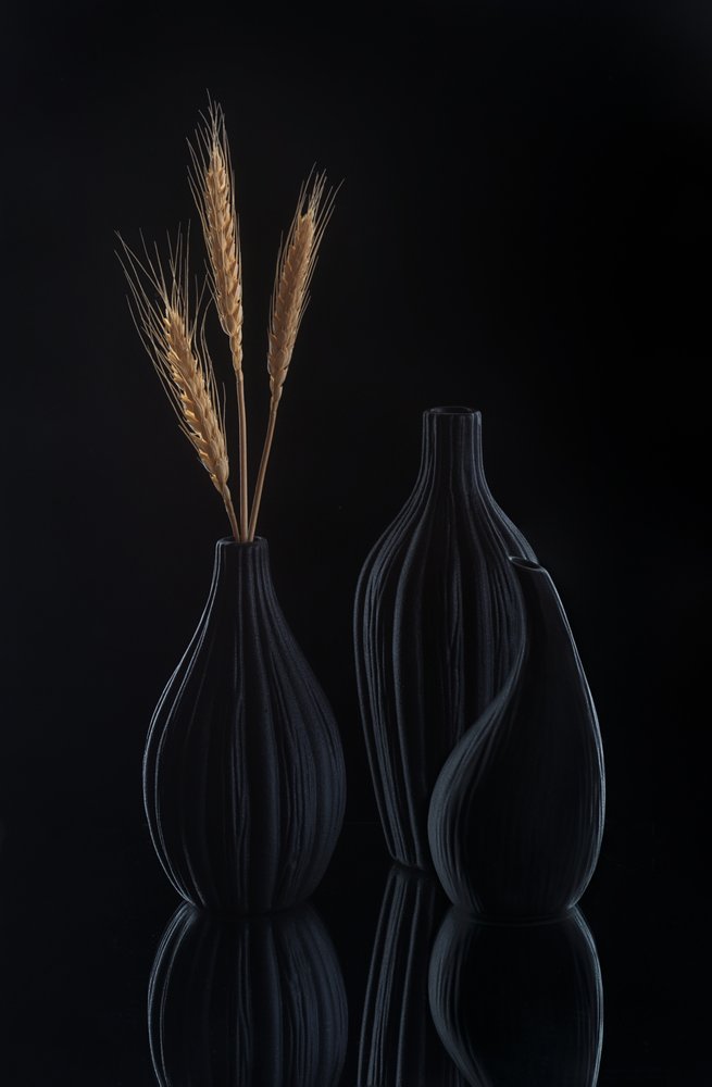 優雅な暗色の静物画 作： 