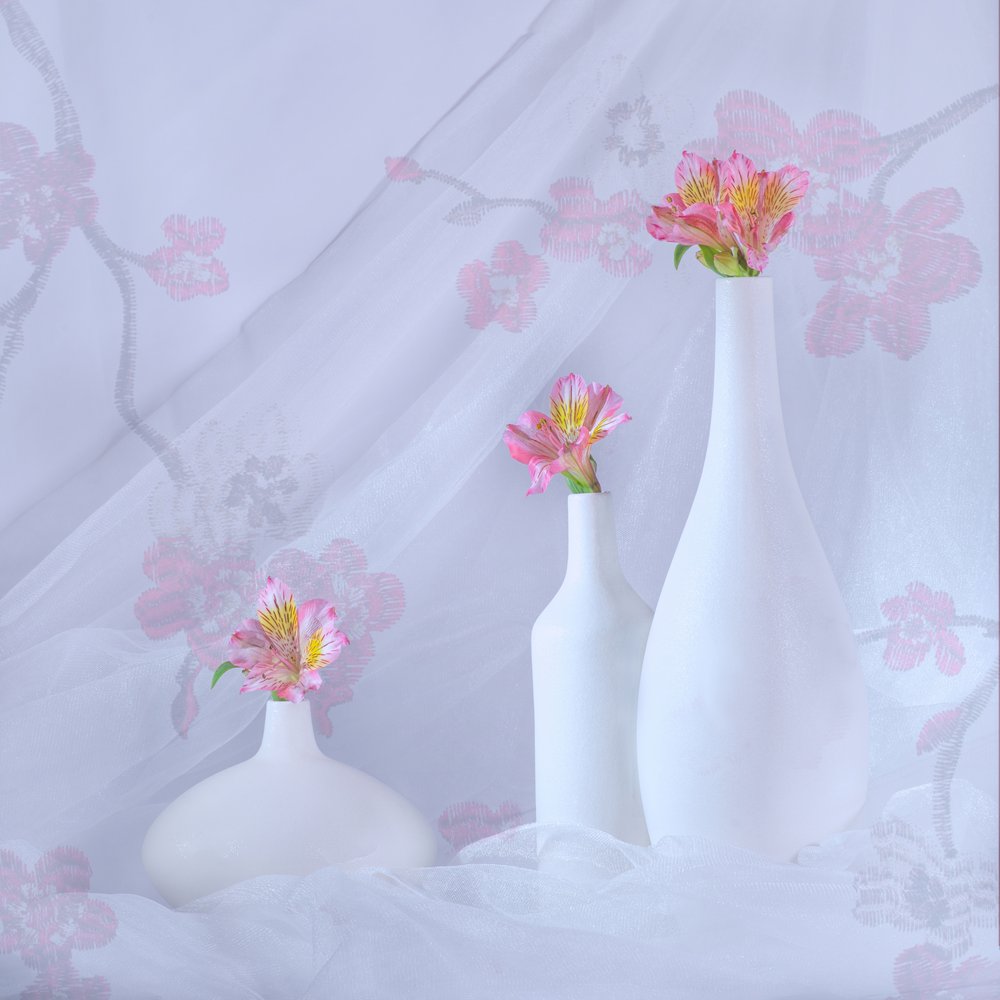 優雅なピンクの花々 作： 