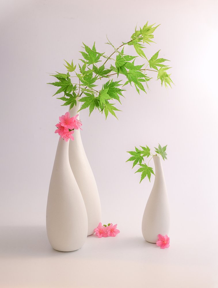 緑の葉とピンクの花 作： 
