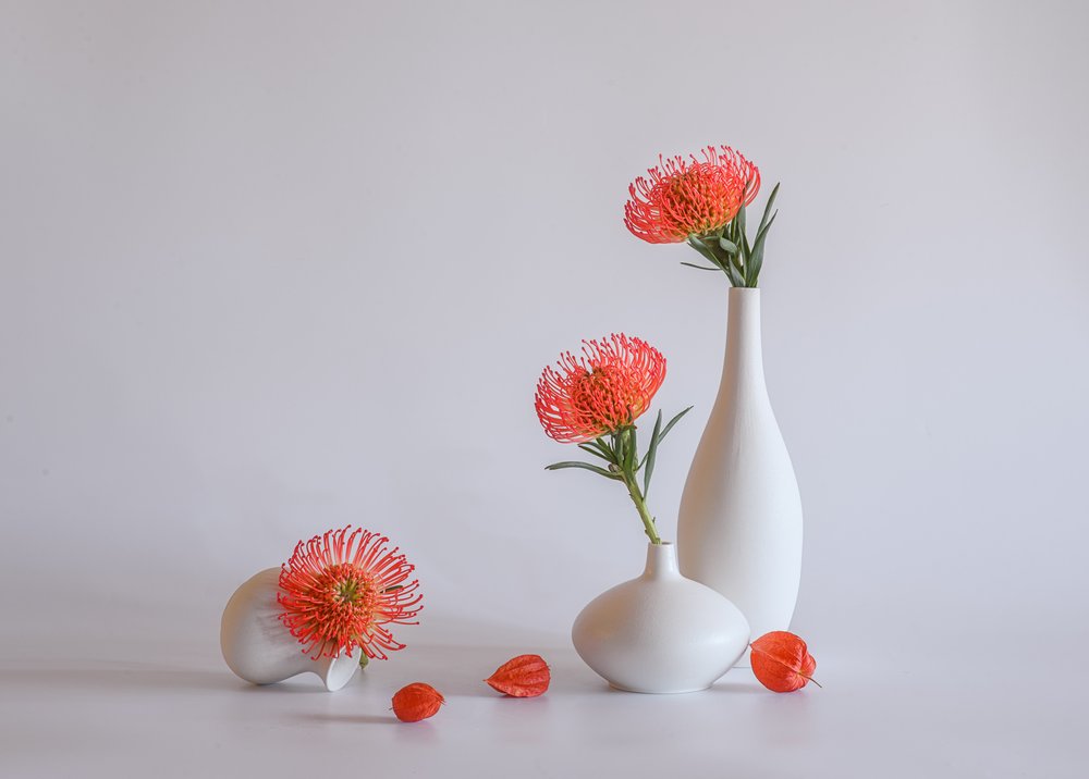 オレンジのプロテアの花瓶 作： 