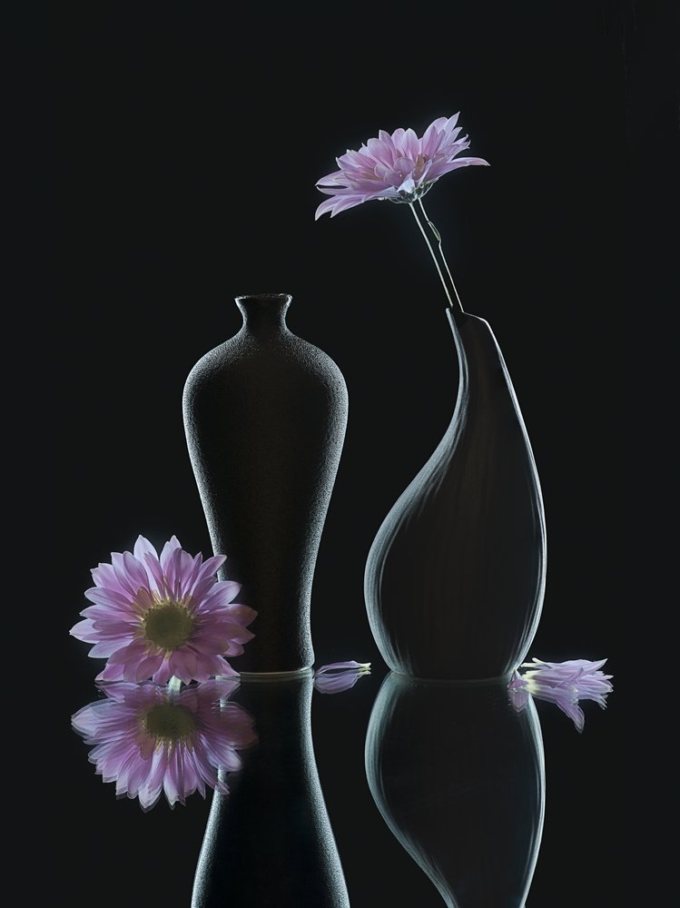 穏やかな花の情景 作： 