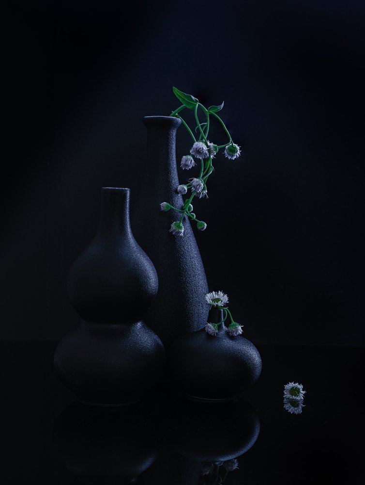 穏やかな花瓶と花々 作： 