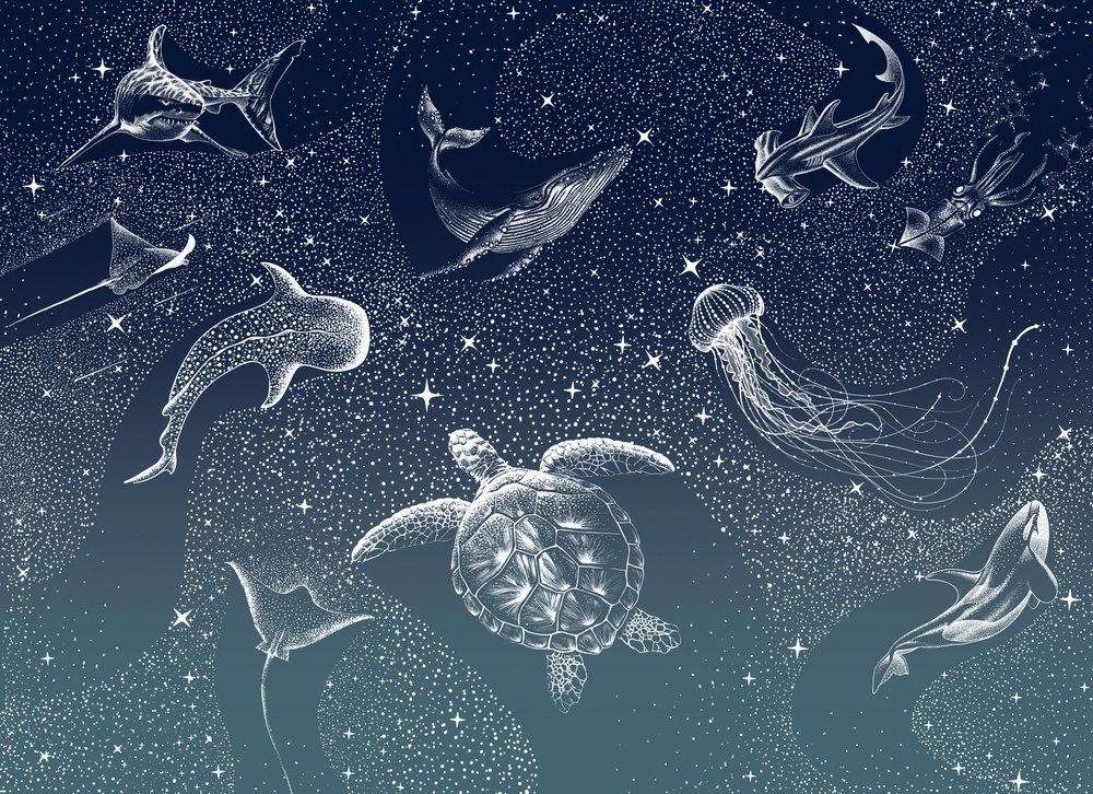 宇宙の海洋生物 作： 