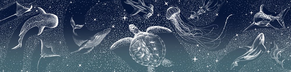 天の海の生き物たち 作： 