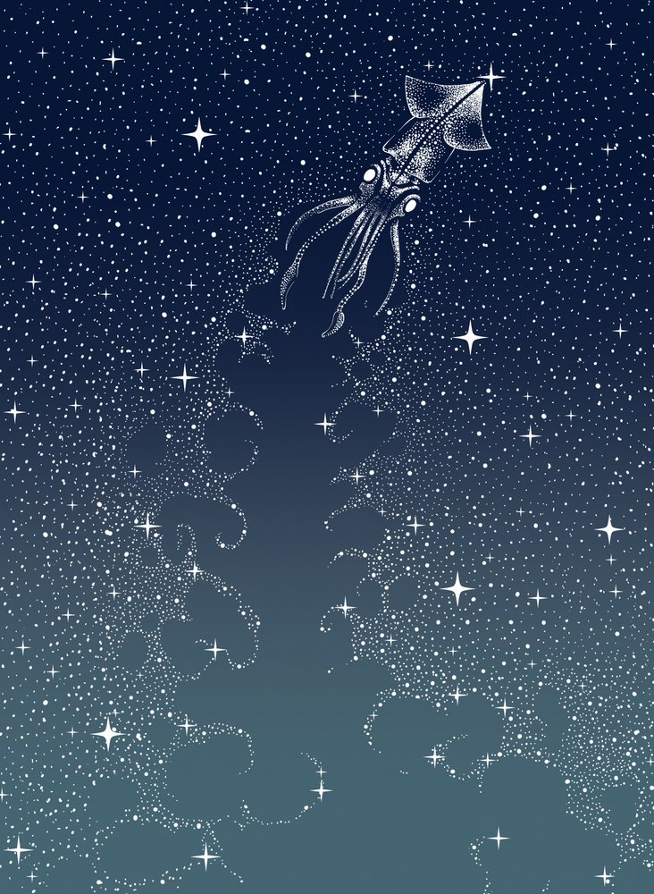 天界のイカの昇天 作： 