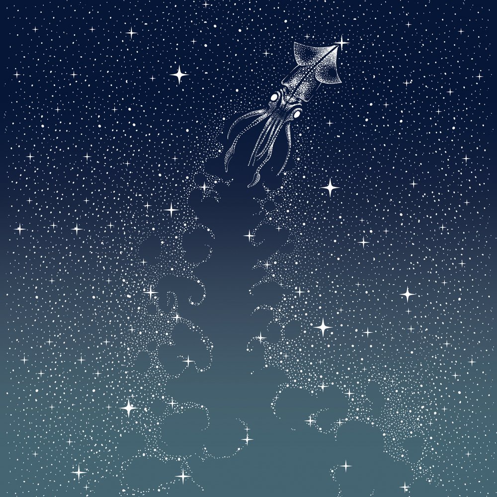 天のイカの飛行 作： 