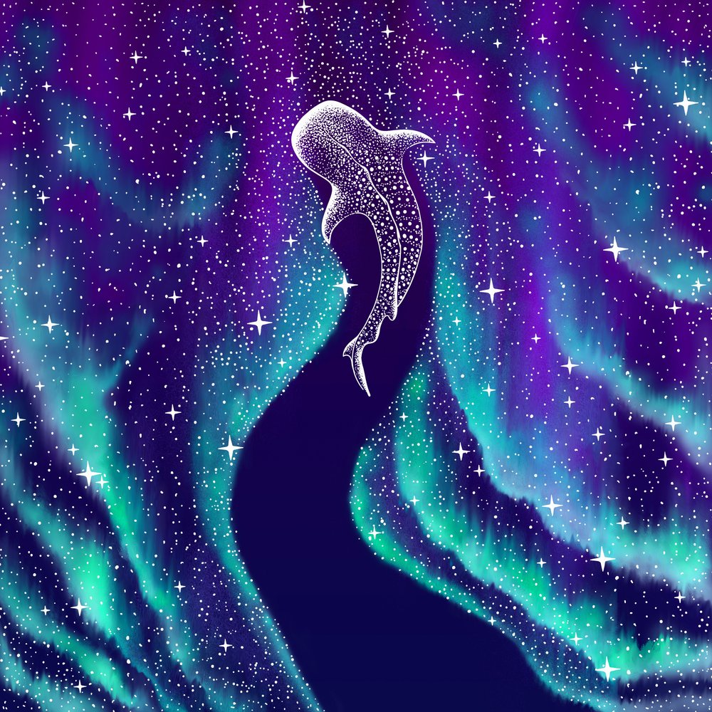 天のジンベエザメ 作： 