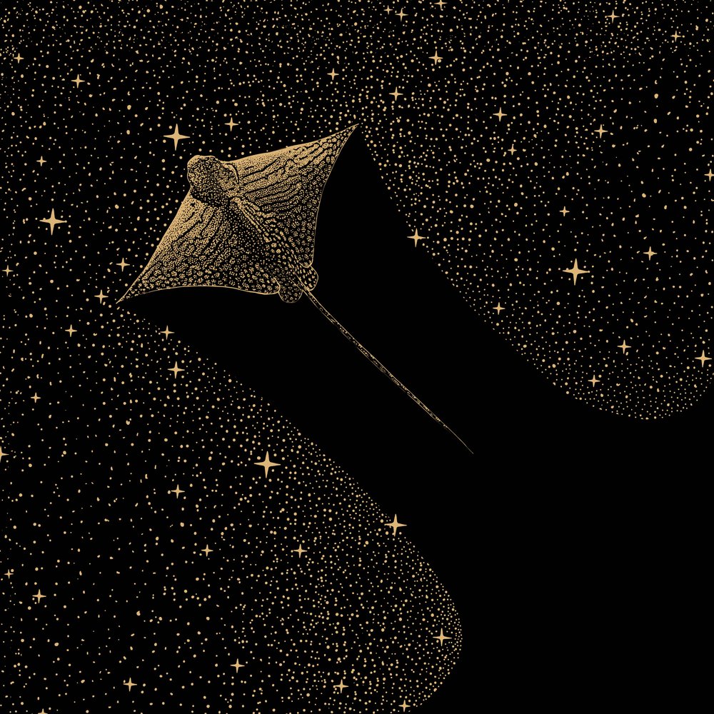 コズミック・イーグル・レイ 作： 