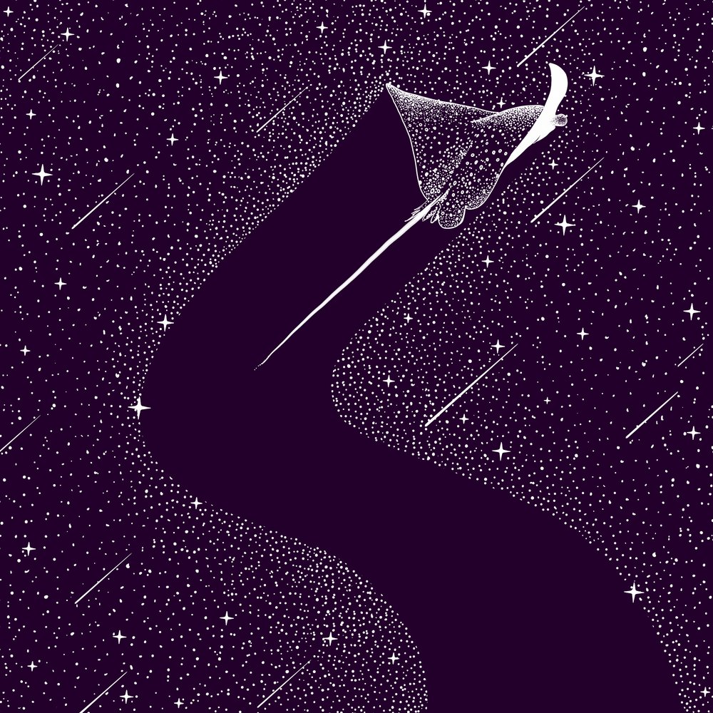 コズミック・イーグル・レイ 作： 