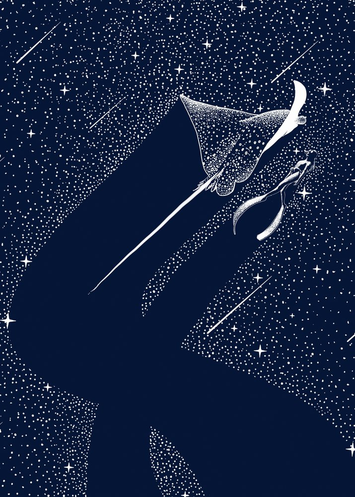 コズミック・イーグル・レイ 作： 