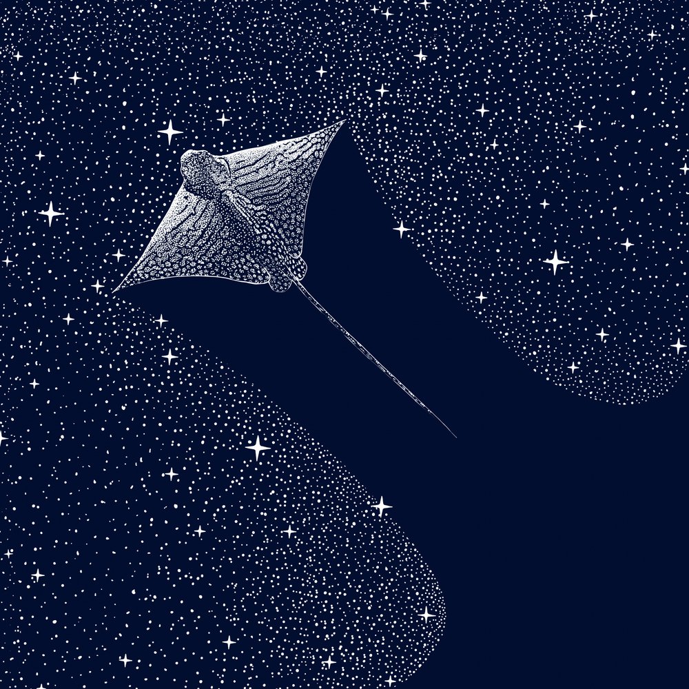 コズミック・イーグル・レイ 作： 