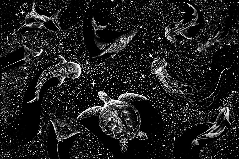 宇宙の海の生き物たち 作： 