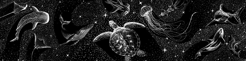 宇宙の海の生き物たち 作： 