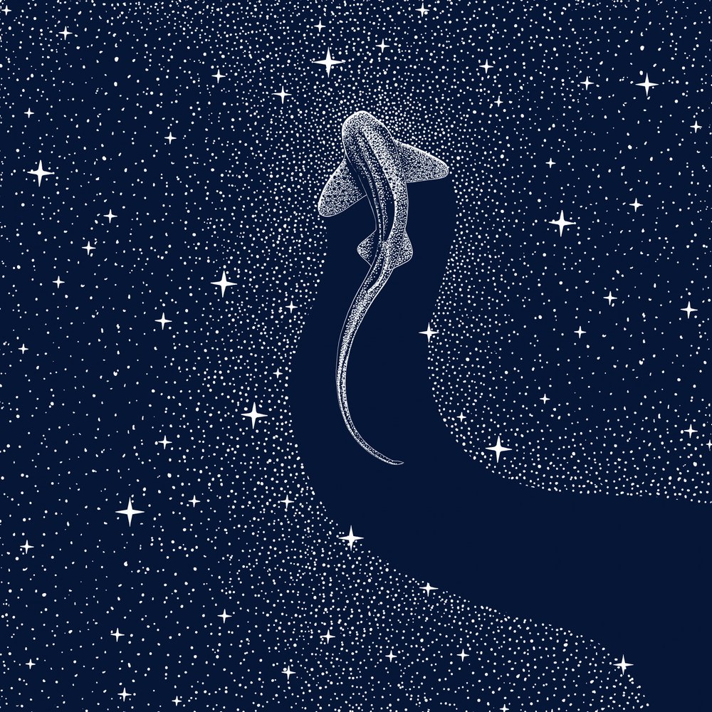 コズミック・シャーク 作： 