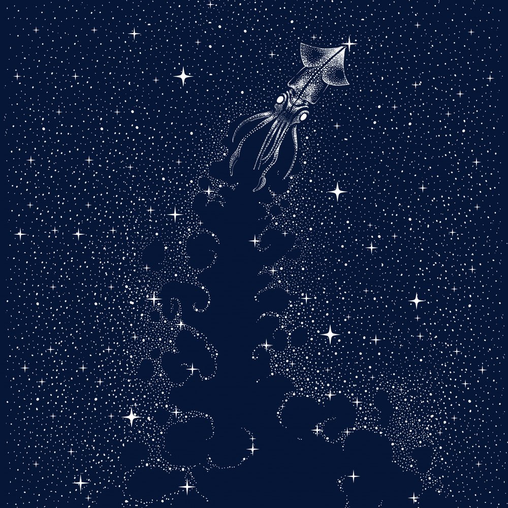 宇宙イカの昇天 作： 