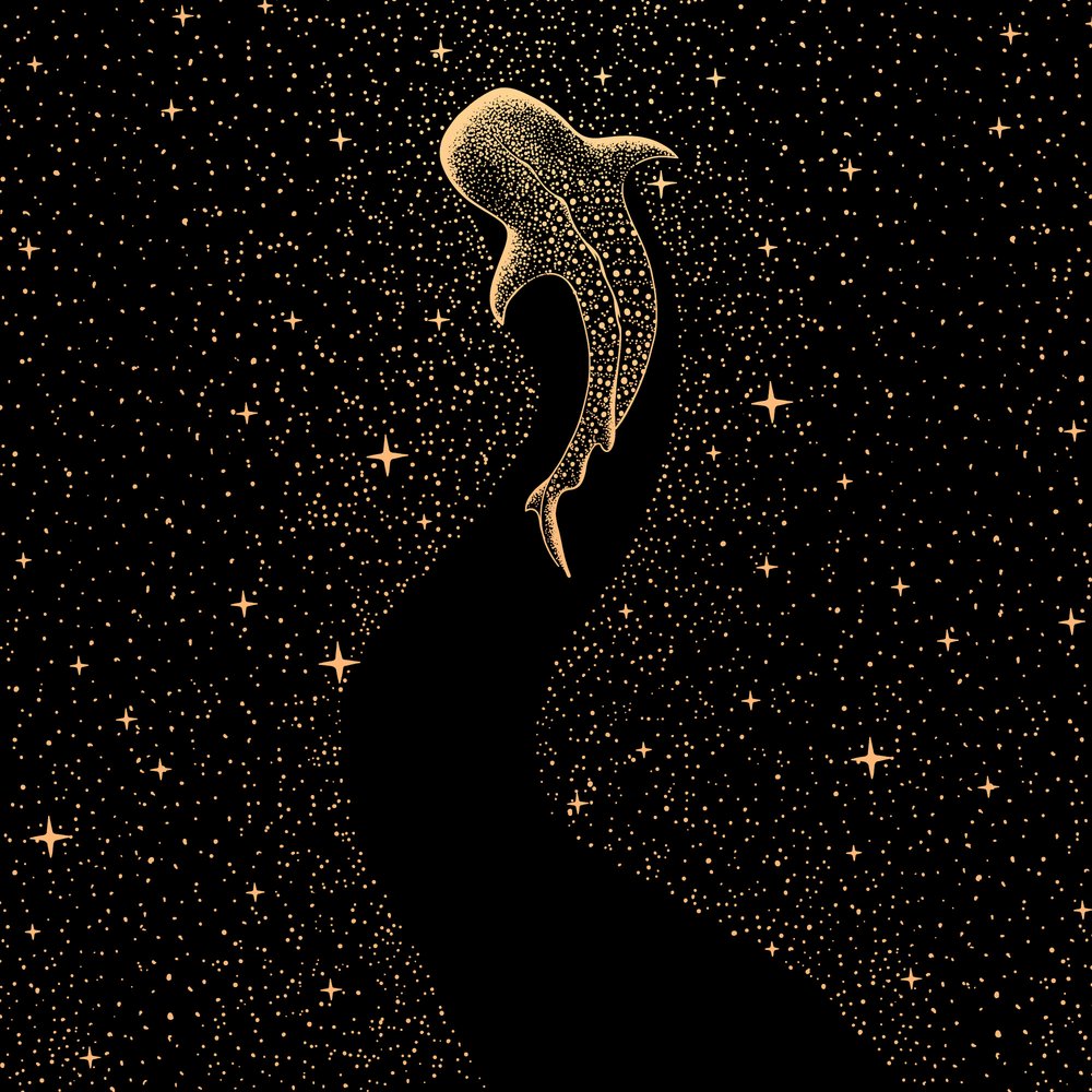 宇宙のジンベエザメ 作： 