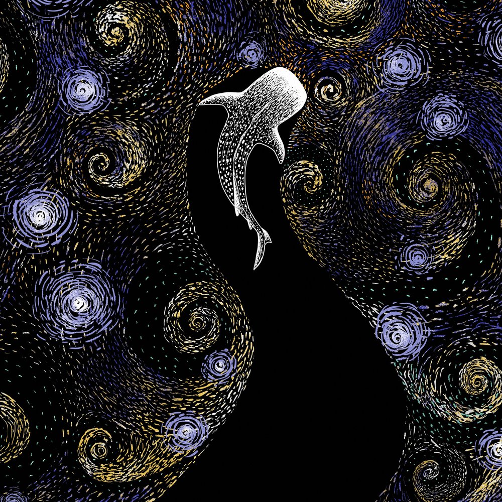 宇宙のジンベエザメ 作： 