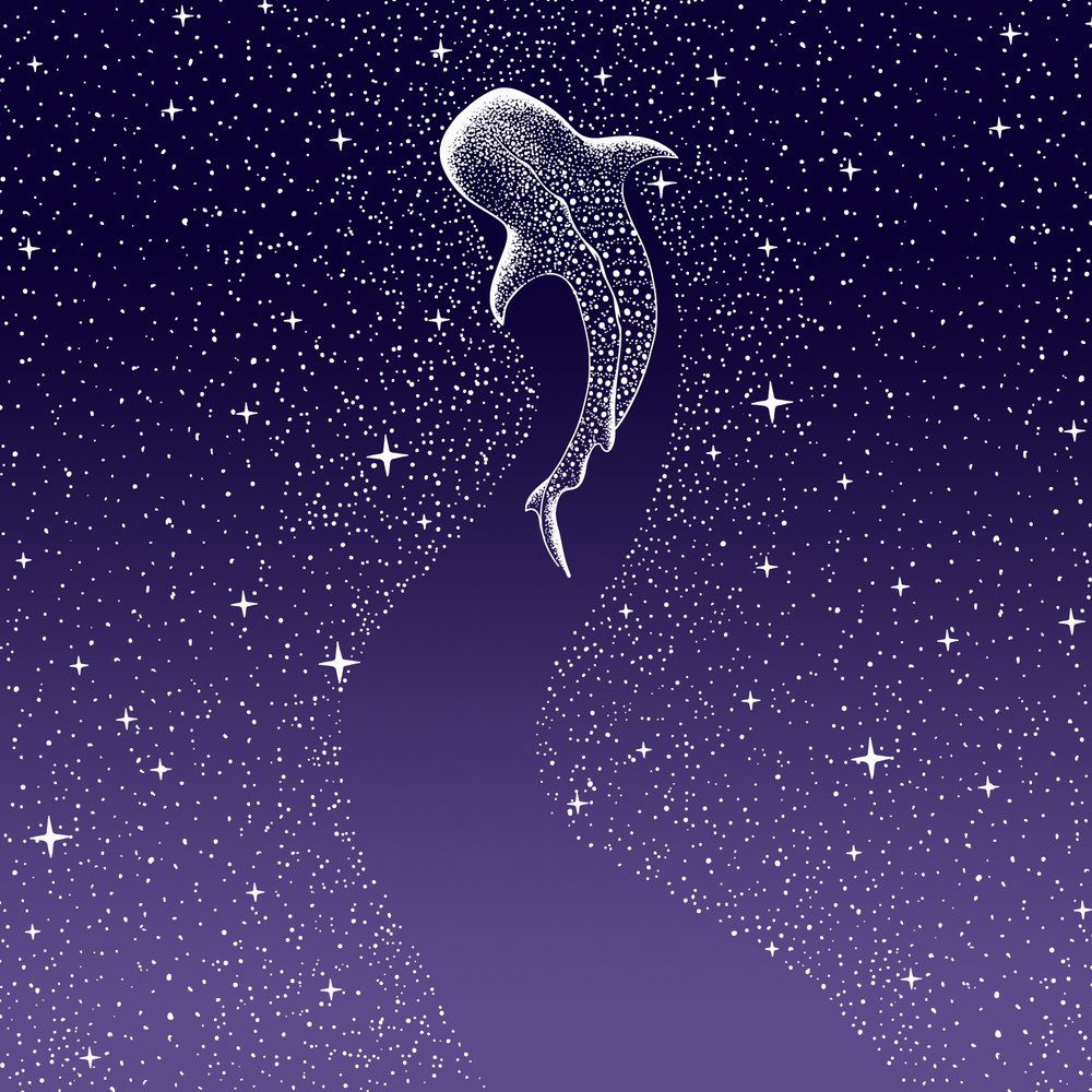 スターイーター ダークブルーからパープルへのグラデーション 作： 