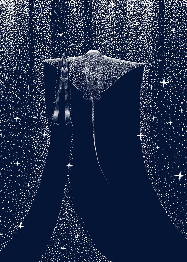 『スターリット・レイ・コンパニオン』 作： 