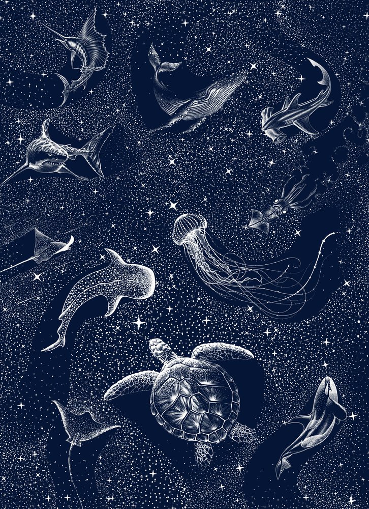 星空の海の生き物たち 作： 