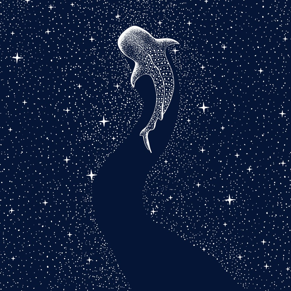 星模様のジンベエザメ 作： 