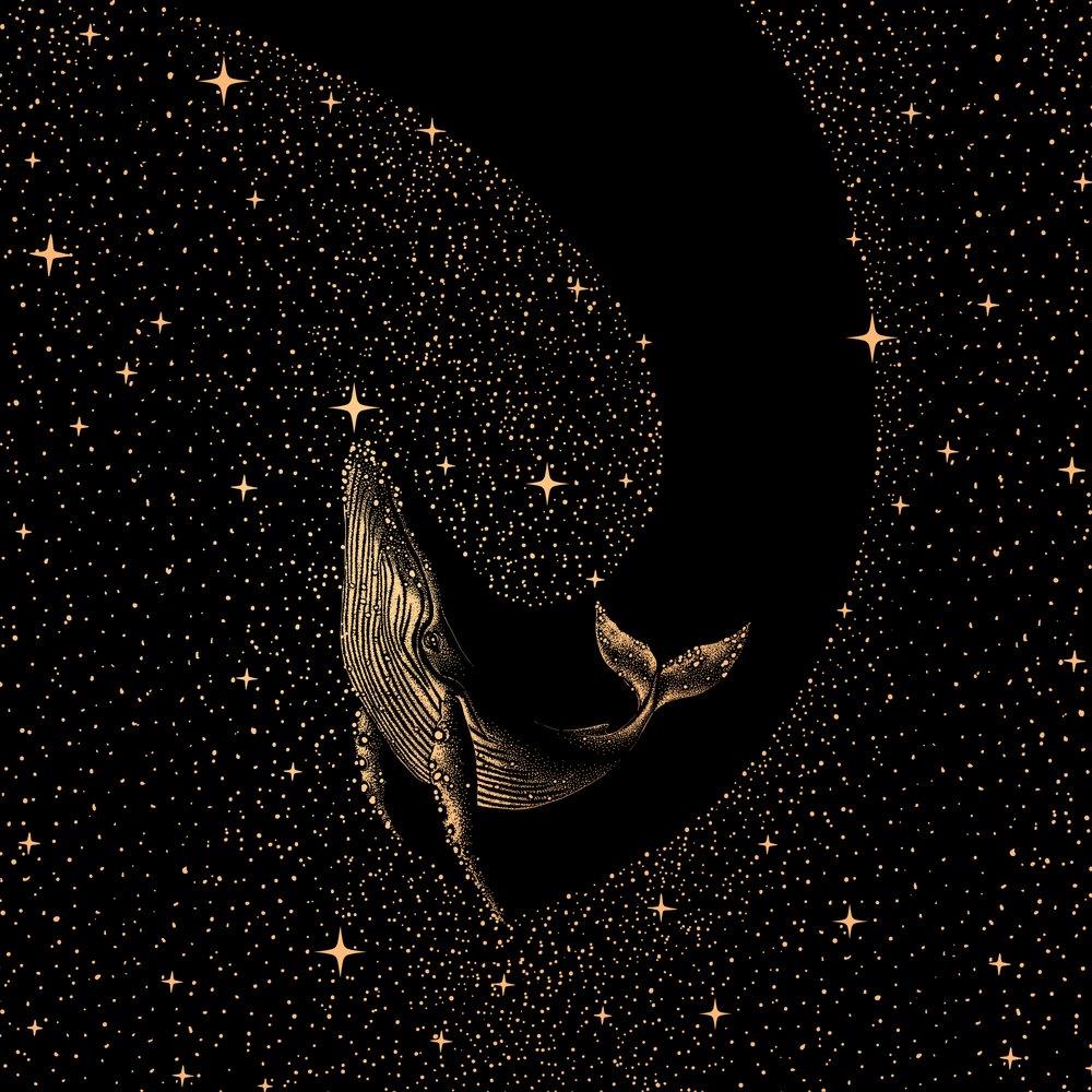 星々の間のクジラ 作： 