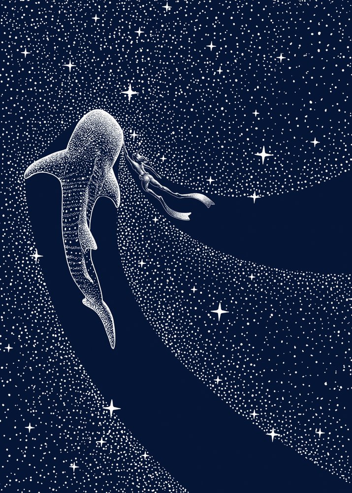 ジンベエザメの宇宙の旅 作： 