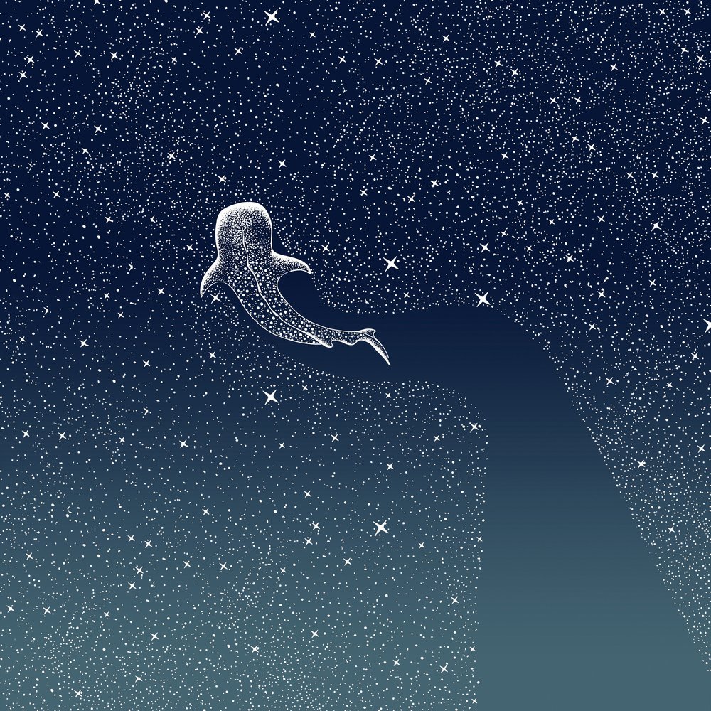 ジンベエザメ・ギャラクシー 作： 